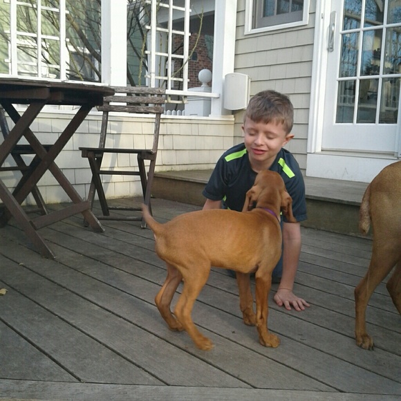 Meet your Posher, Malgorzata - Picture 3 of 8